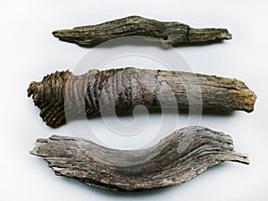 Set of driftwood barks close up photo