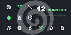 Set Drops of honey, Jar, Honey dipper stick, Hive for bees, Bee flower, and Honeycomb icon. Vector