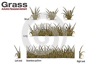Set of dry grass on transparent background