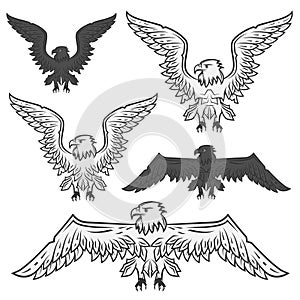 Set of eagle for emblem and design tattoo ,labels and logo.