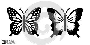 Elegant Butterfly Vector Illustrations