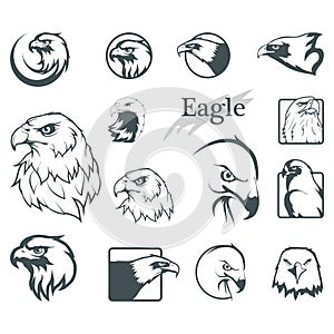 Set of eagles. Bald eagle logo. Wild birds drawing. Head of an eagle. photo
