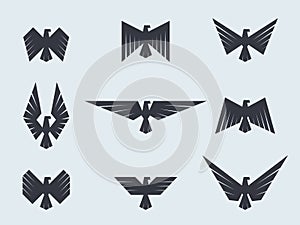 Set eagles and hawks. Eagle logo vector template