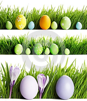 Set of easter eggs in grass