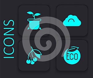 Set Eco healthy food, Plant in pot, Cloudy weather and Fresh berries icon. Black square button. Vector