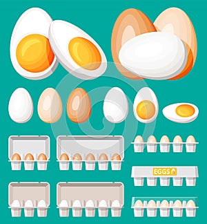 Set eggs in cardboard package isolated on green.