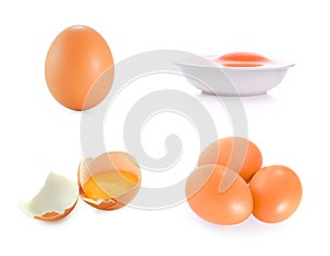 Set eggs isolate on white background