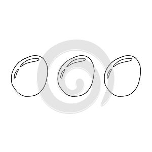 Set eggs. Vector illustration egg