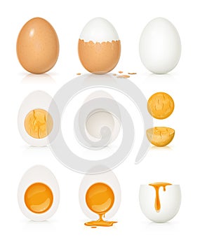 Set of eggs with yolk and shell