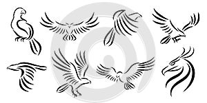 Set of eight line art vector logo of eagle
