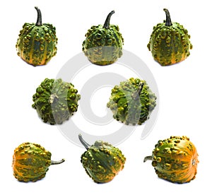 Set of eight orange-green warty pumpkins angles isolated on white