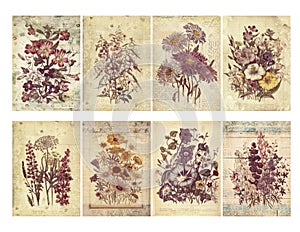 Set of eight shabby vintage floral cards with textured layers and text.