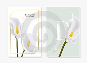 Set of elegant calla lily brochure, card, background, cover with luxury golden foil, holiday design card. Watercolor vector flora