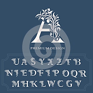 Set of elegant letters. Graceful luxury style. Calligraphic beautiful logo. Vintage drawn alphabet emblem for book design, brand n