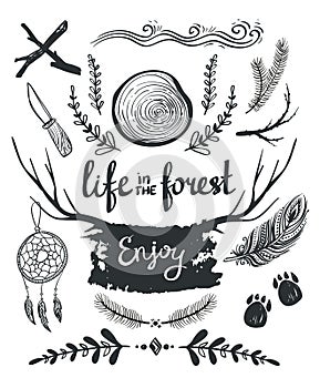 Set of elements and clip art themed around life in the forest.