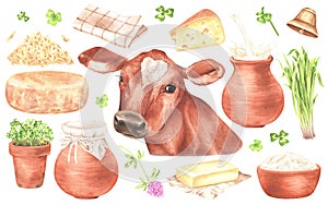 Set of elements on the theme of dairy products. Portrait of a cow, jug of milk, clover, cheese, butter, bunch of grass