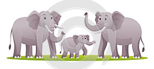 Set of elephant family cartoon illustration