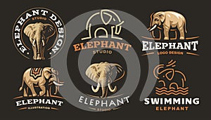 Set elephant logo - vector illustration, emblem on dark background