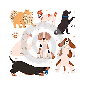 Set of emotional and positive dogs. Collection of hand drawn honeycomb animals. Vector illustration