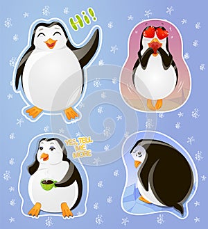 Set emotions stickers penguin: greeting, in love, skeptical, resentful photo