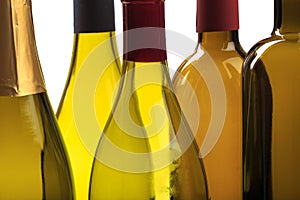 Set of empty bottles of wine isolated on a white background - Image