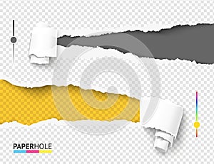 Set of empty color paper hole and scrolled torn piece on transparent. Vector revealed from left or right message concept
