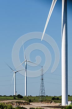 Set of energy efficient wind turbine at the countryside near Tarariras, Colonia photo