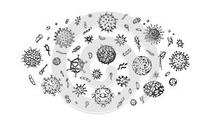 Set of engraved viruses and bacteria isolated on white background. Different types of microscopic microorganisms. Vector