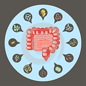 Set of enteric bacteria photo