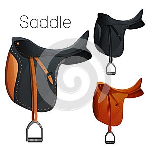 Set of equesrtian equipment for horse