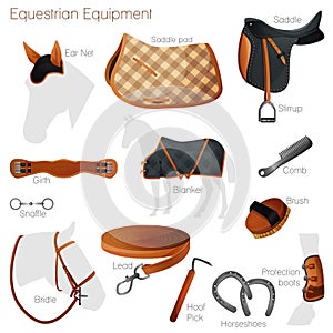 Set of equestrian equipment. Vector.