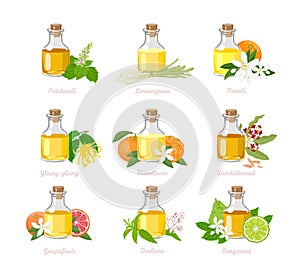 Set of essential oil in glass bottles, herb, fragrant flowers and citrus. Aromatherapy.