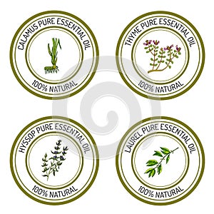 Set of essential oil labels: calamus, thyme, hyssop, laurel.