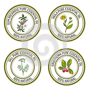Set of essential oil labels: gum rockrose, inula, dill, gaultheria