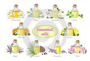 Set of essential oils in glass bottles. Vector illustration of aromatic plants and flowers