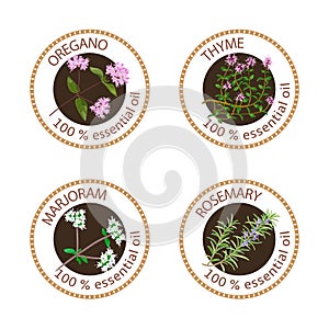 Set of essential oils labels. Oregano, Thyme, marjoram, rosemary