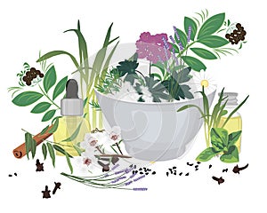 Set of essential oils vector illustration