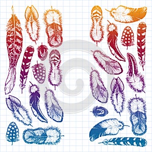 Set of ethnic feathers. Decoration design. Birds feathers, boho chic style. Tribal ornament pattern.