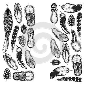 Set of ethnic feathers. Decoration design. Birds feathers, boho chic style. Tribal ornament pattern.