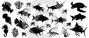 Set of exclusive marine inhabitants painted in black on a white background. Tattoos, emblems for clothes