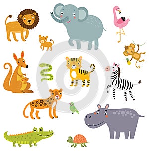 Set of exotic animals vector illustration.