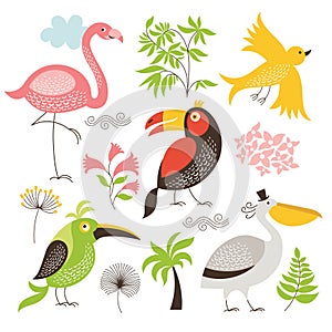 Set of exotic birds