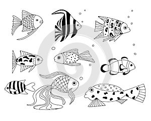 Set of exotic coral reef fish. Underwater swimming animals. Tropical fish for the aquarium. vector cartoon hand drawn elements for
