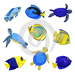 Set of exotic fish. Vector illustration on white background.