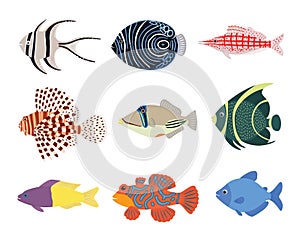 Set of exotic tropical marine aquarium colorful fish