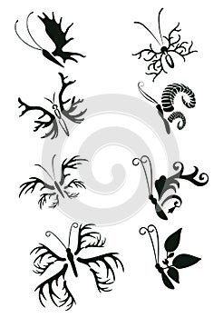 Set of exotic unusual silhouettes of butterflies - vector illustration