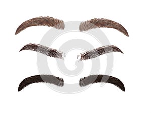Set of eyebrown isolated on white