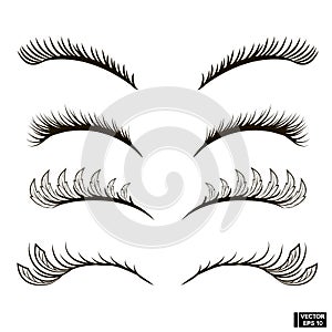 Set of eyelashes