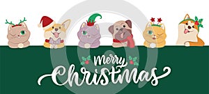The set of faces cats and dogs for Merry Christmas