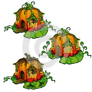 Set of fairy tale houses made out of pumpkins. Home of dwellers of fantasy forest isolated on a white background. Vector